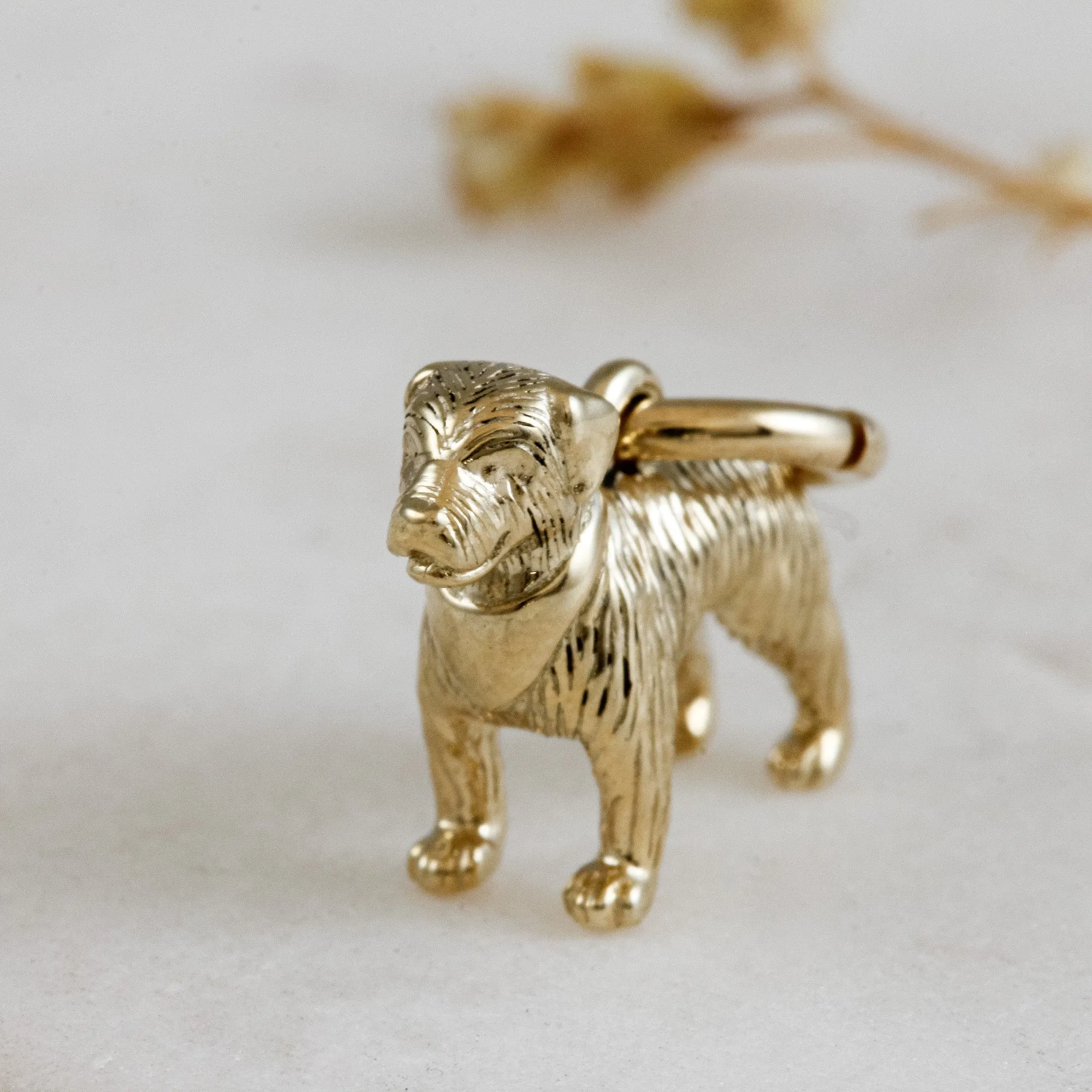 Border Terrier Solid Gold Dog Charm