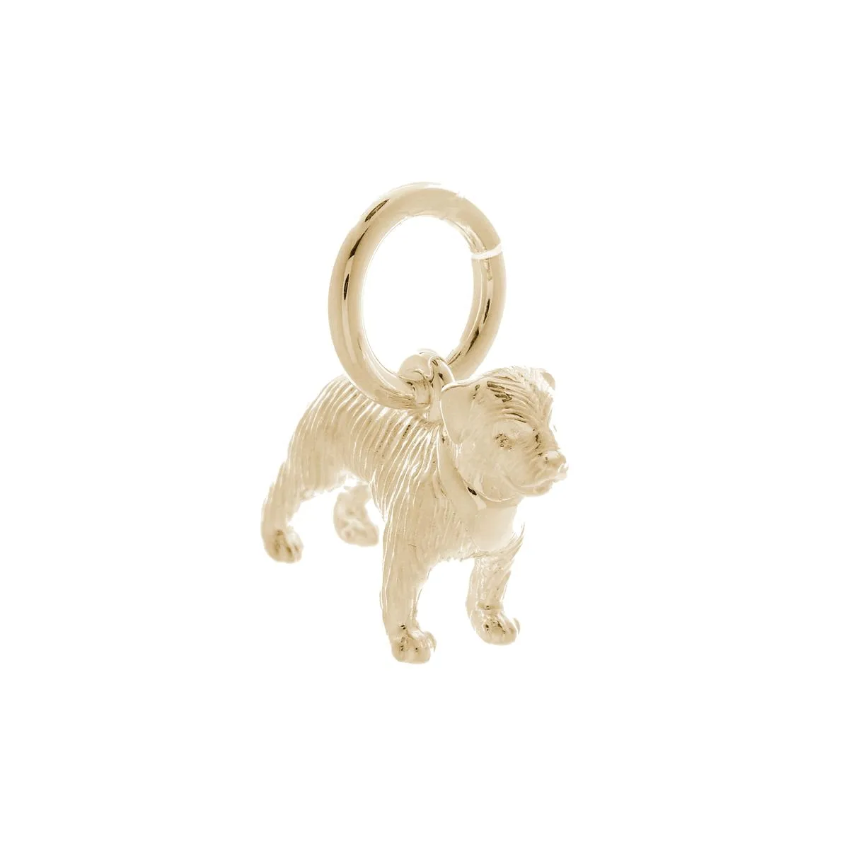 Border Terrier Solid Gold Dog Charm