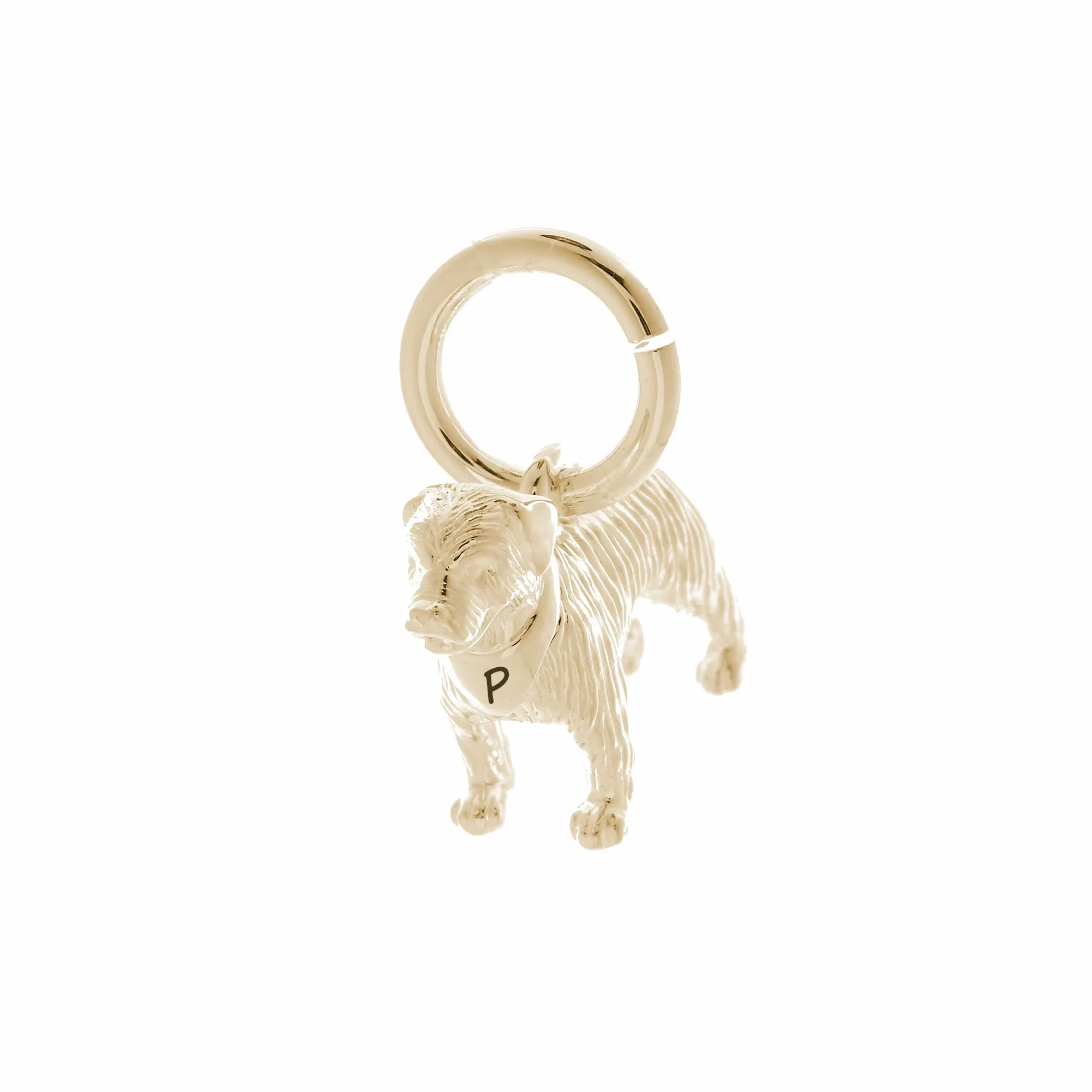 Border Terrier Solid Gold Dog Charm