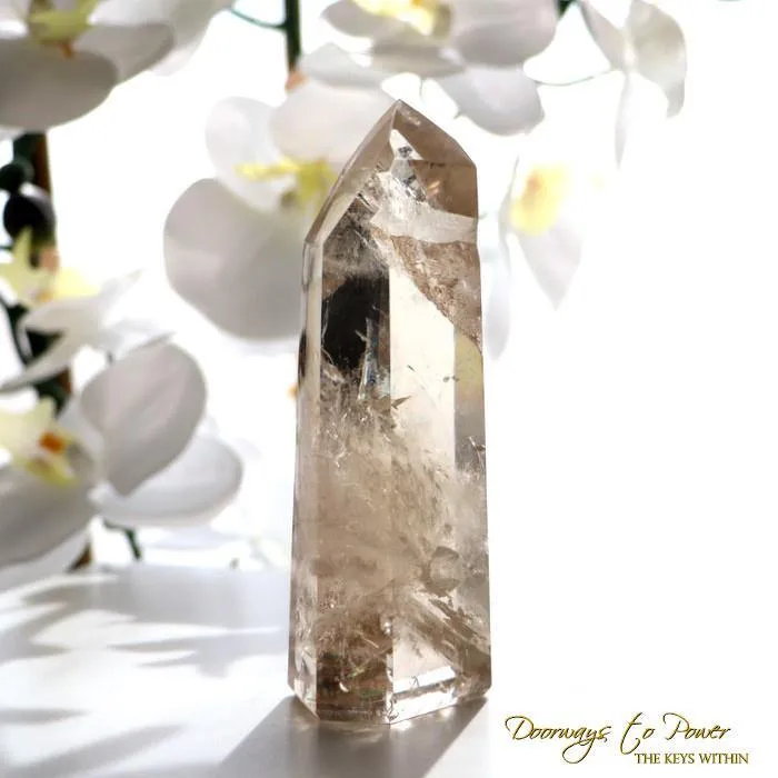 Citrine Quartz Point & Master Integration Transmitter